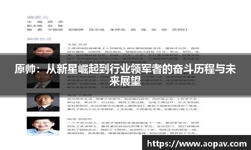 原帅：从新星崛起到行业领军者的奋斗历程与未来展望