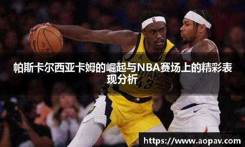 bsports官网入口